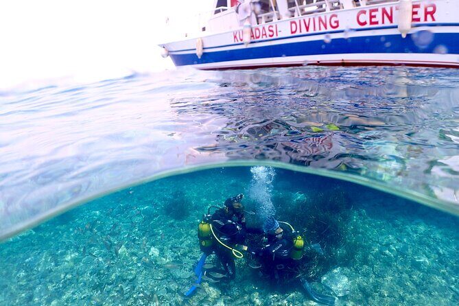 Guided Scuba Diving Experience in Kusadasi - Introduction: Why Choose This Scuba Experience?