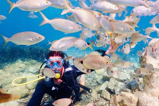 Guided Scuba Diving Experience in Kusadasi - Who Should Book This Experience?