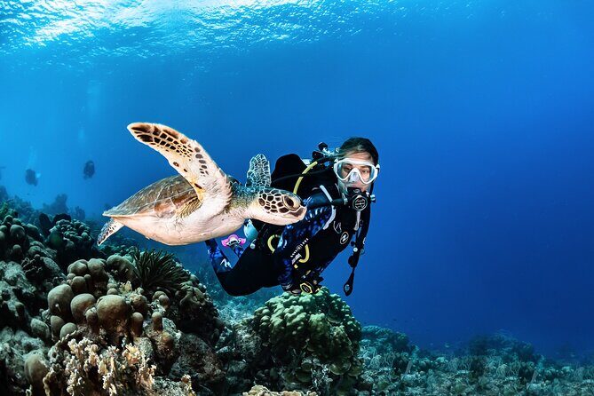 guided Scuba Diving on Tenerife (for certified divers) - Final Thoughts