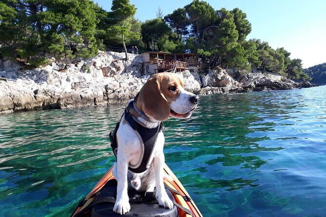 Guided Sea Kayaking Tour in Cavtat - Experience the Beauty of Cavtat with a Guided Sea Kayaking Tour