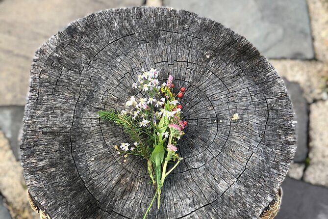 Guided Shared Group Forest Bathing Session in Serene Woodland Park - Exploring the Gentle Art of Forest Bathing in Westchester County