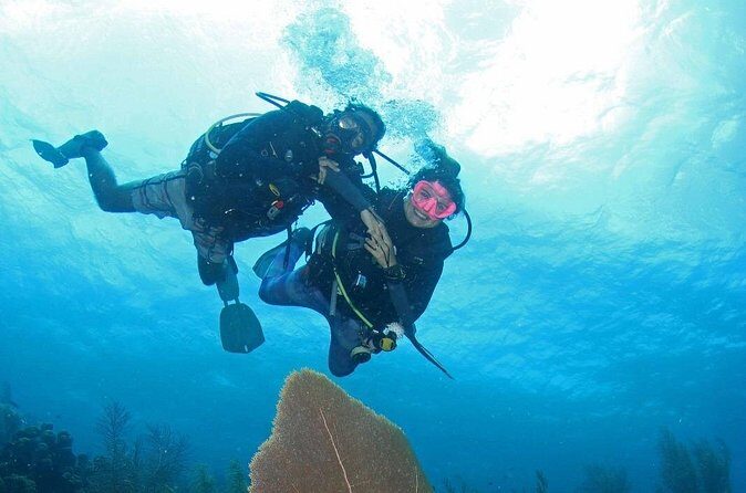 Guided Shore Dive for Certified Divers with Scubaçao (1 tank) - FAQ