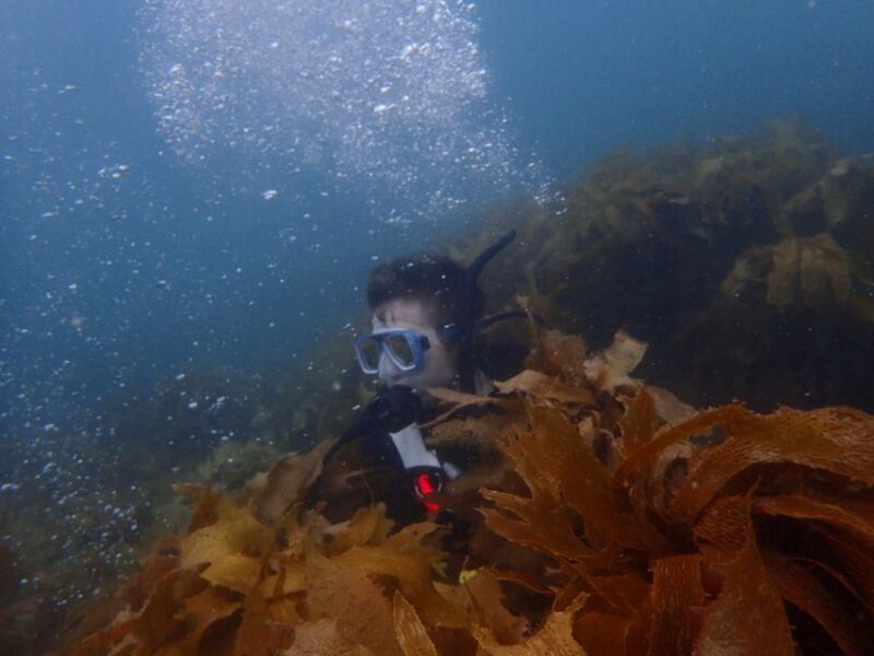 Guided Shore Dive Tour for Certified Diver - Experience Goat Island’s Underwater World with a Guided Shore Dive