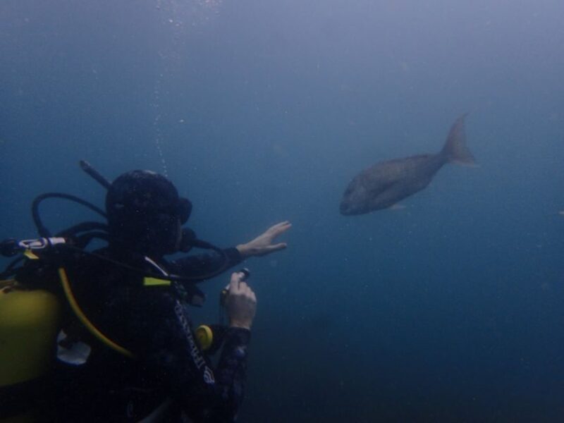 Guided Shore Dive Tour for Certified Diver - Who Would Love This Tour?