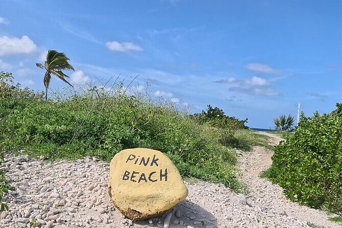 guided Shore Diving in Bonaire Marine Park with 2 Dives - What Could Be Improved?