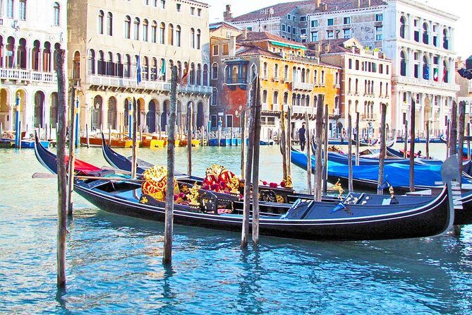 Guided Sightseeing Tour of Venice Highlights for Kids & Families - An In-Depth Look at the Tour Experience