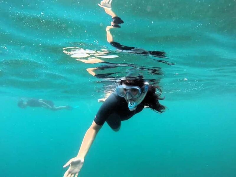 Guided snorkel in Cambrils with explanation of the marine environment. - Key Points
