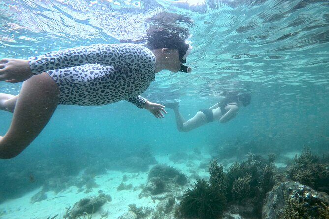 Guided Snorkel Tour - Guided Snorkel Tour in Newcastle, Australia: A Hands-On Marine Adventure