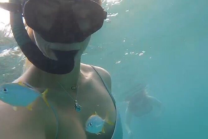 Guided Snorkeling adventure in San Juan - An In-Depth Look at the Snorkeling Tour in San Juan