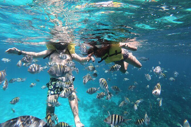 Guided Snorkeling Adventure in West Bay - Guided Snorkeling Adventure in West Bay