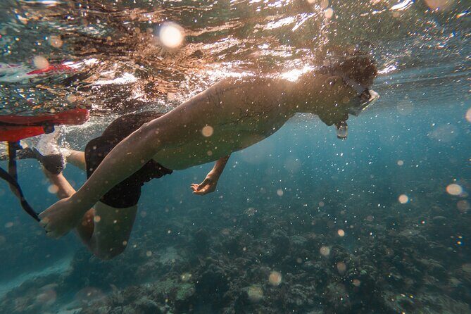 Guided Snorkeling Adventure in West Bay - Exploring the Guided Snorkeling Adventure in Roatan