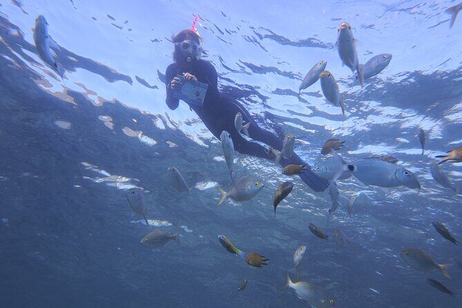 Guided Snorkeling Experience - FAQ