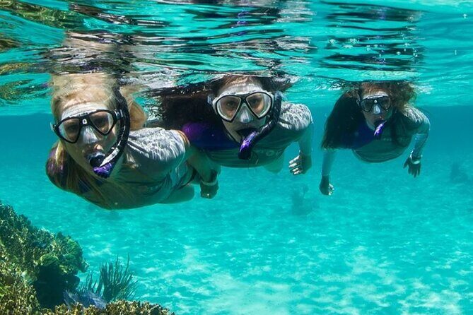 Guided Snorkeling Experience in Bondi - A Detailed Look at the Snorkeling Experience in Bondi