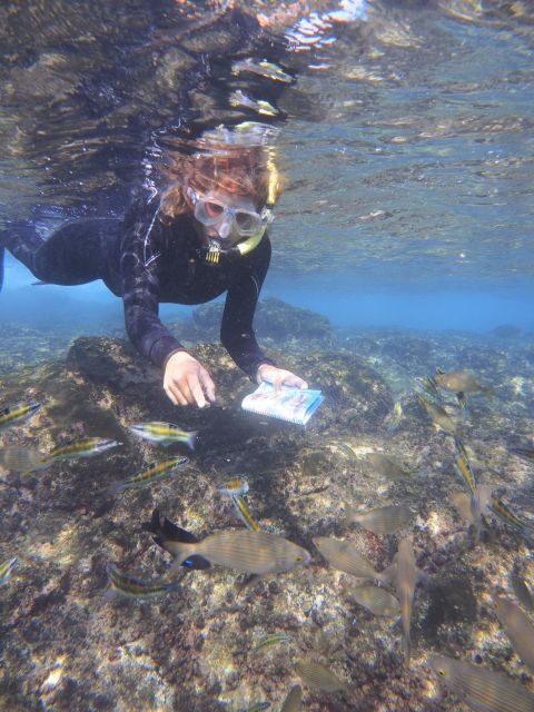 Guided Snorkeling Experience - Key Points