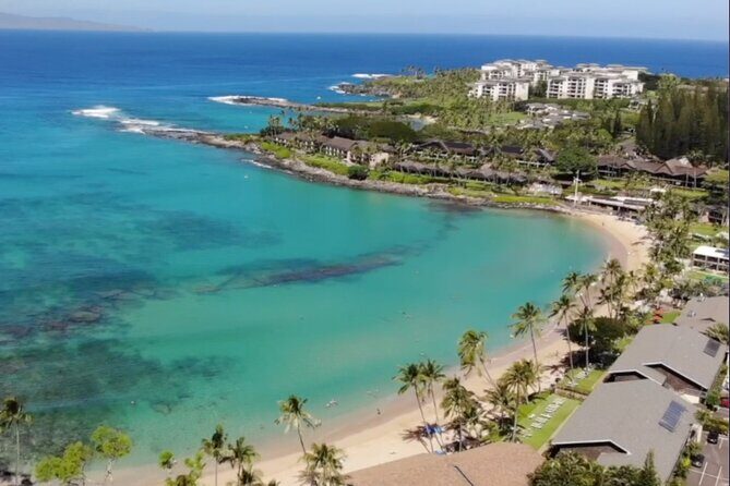 Guided Snorkeling for Beginners with Flotation Wetsuit - Key Points