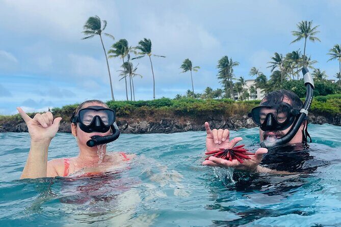 Guided Snorkeling for Beginners with Flotation Wetsuit - Authentic Guest Experiences and Quotes