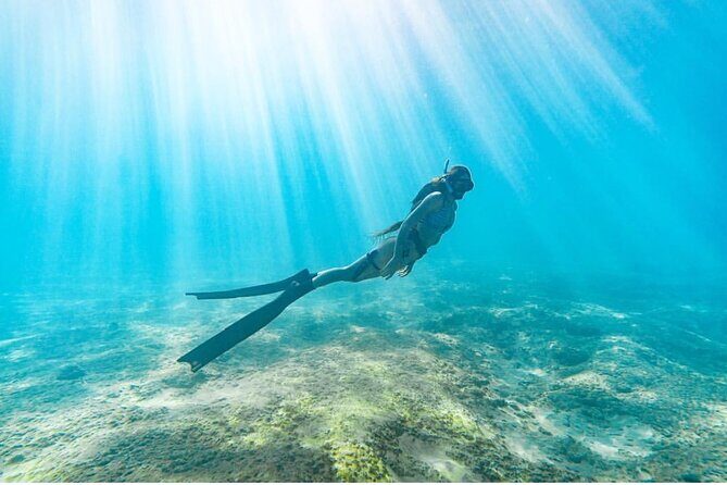 Guided Snorkeling for Beginners with Flotation Wetsuit - Final Thoughts: Who Should Sign Up?