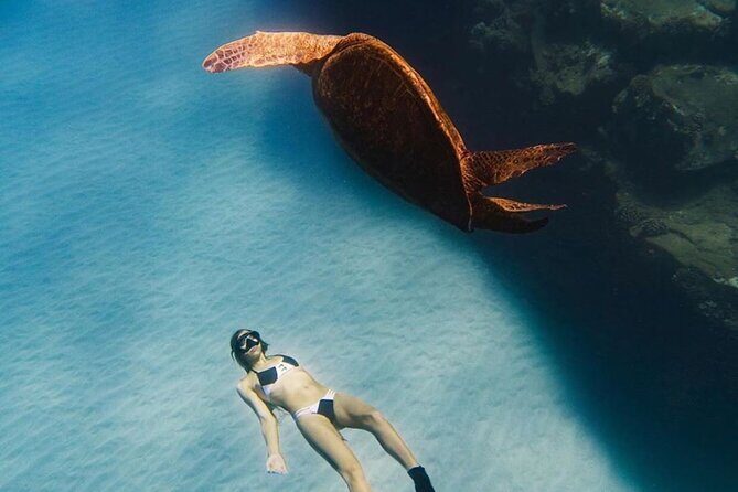 Guided Snorkeling for Beginners with Flotation Wetsuit - FAQ