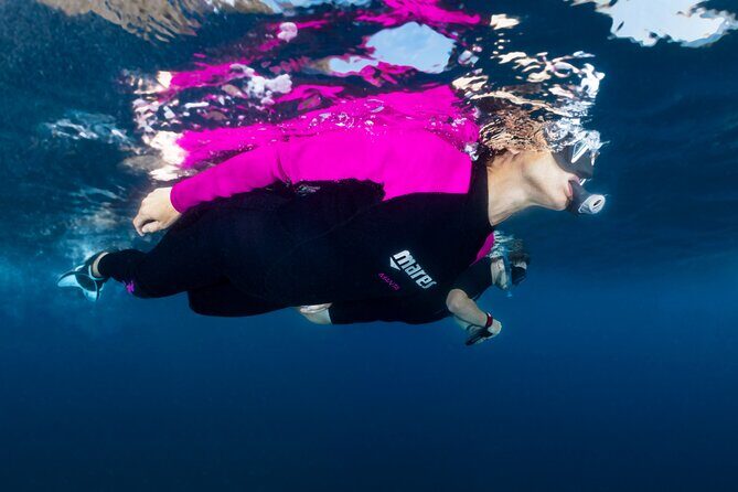 Guided snorkeling in the Portofino Marine Protected Area - Discovering the Underwater Beauty of Portofino: Guided Snorkeling Tour Review