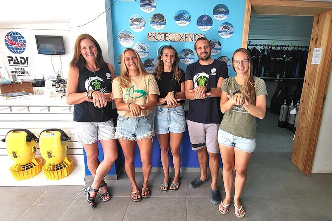 Guided snorkeling trip to the turtles in Protaras - Key Points