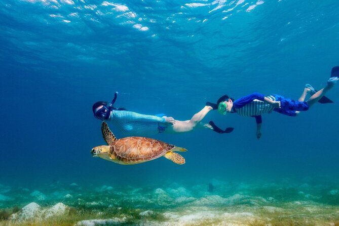 Guided snorkeling trip to the turtles in Protaras - Frequently Asked Questions