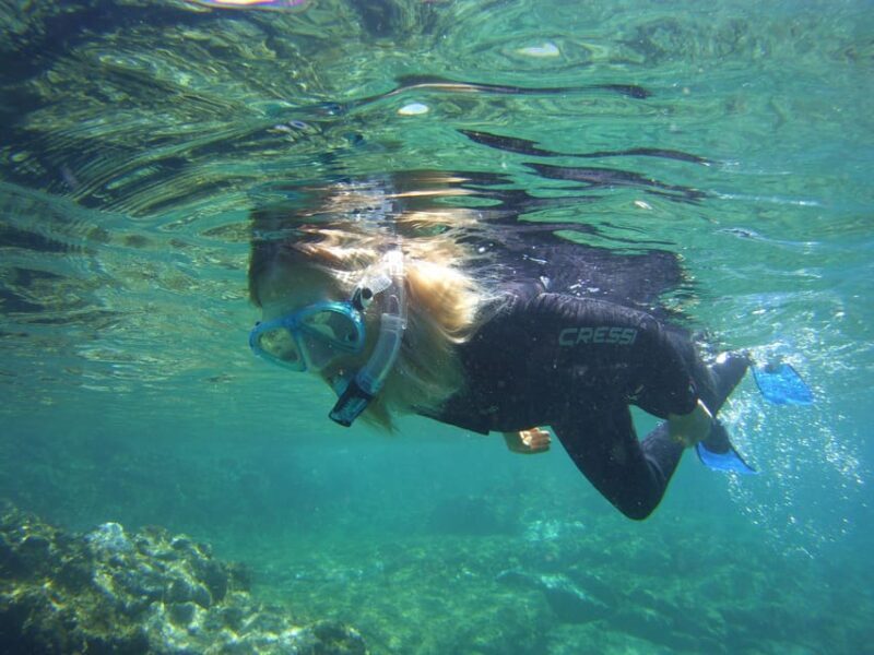 Guided Snorkelling experience in south of Gran Canaria - Guided Snorkelling Experience in South of Gran Canaria