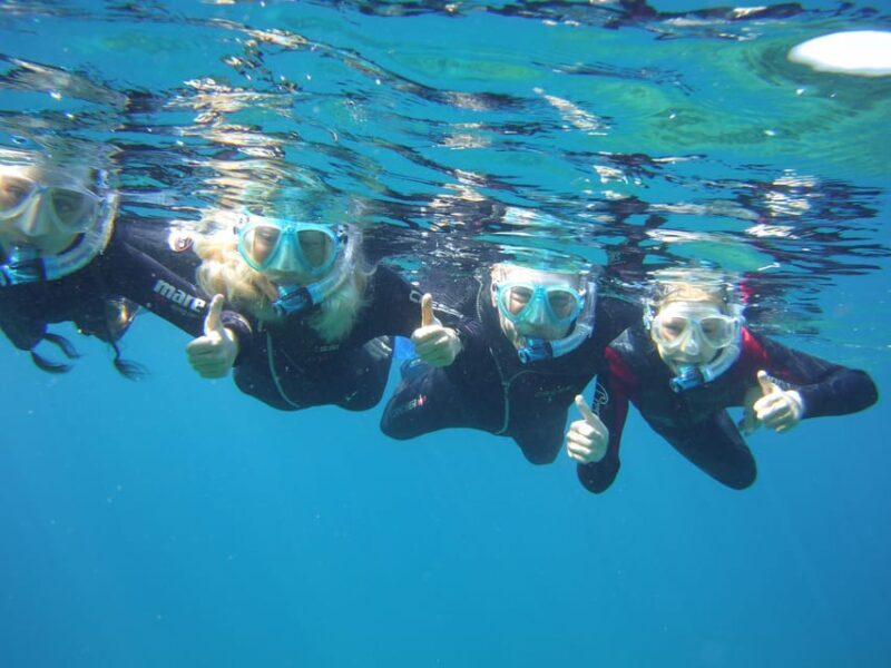 Guided Snorkelling experience in south of Gran Canaria - Final Thoughts