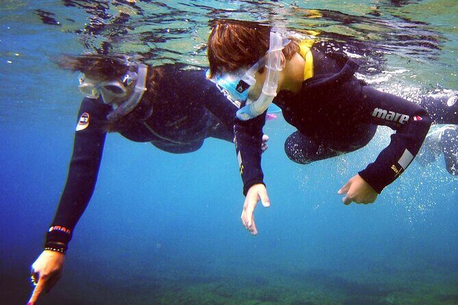 Guided Snorkelling Experience in South of Gran Canaria - A Detailed Look at the Guided Snorkelling Experience in Gran Canaria’s South