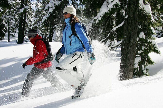 Guided Snowshoe Tour in Bend, Oregon - What Youll See and Experience