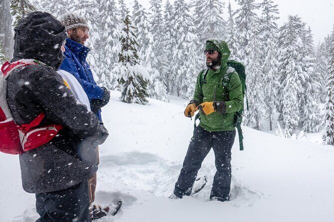 Guided Snowshoe Tour in Bend, Oregon - The Sum Up