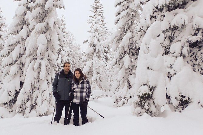 Guided Snowshoe Walk on Tromsoya Island in Tromso - Discover Tromso’s Winter Magic with a Guided Snowshoe Walk on Tromsoya Island