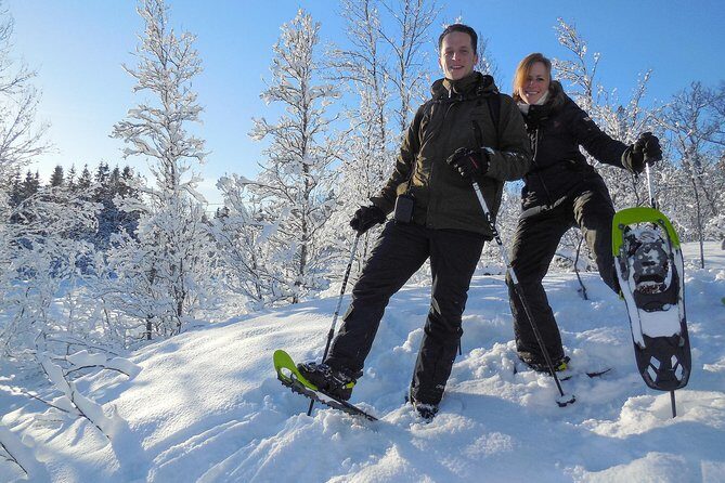 Guided Snowshoe Walk on Tromsoya Island in Tromso - Key Points