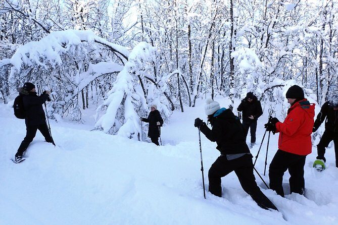 Guided Snowshoe Walk on Tromsoya Island in Tromso - Authenticity and What You’ll Remember