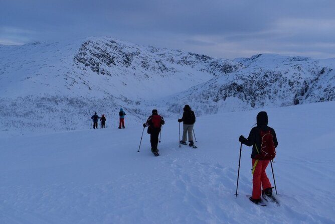 Guided Snowshoe Walk on Tromsoya Island in Tromso - FAQs about the Tromsoya Island Snowshoe Tour