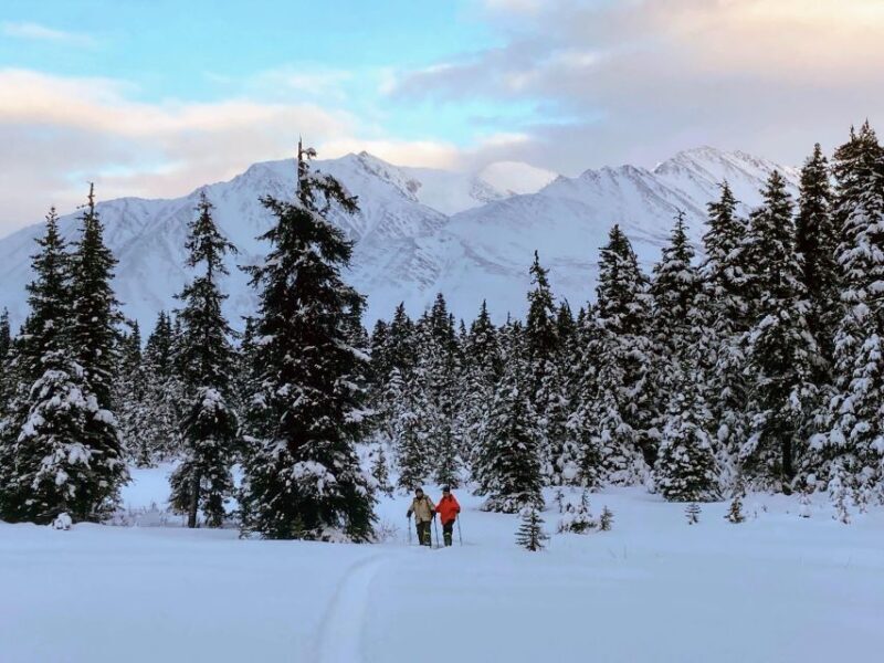 Guided Snowshoeing Adventure from Seward, Alaska - The Sum Up