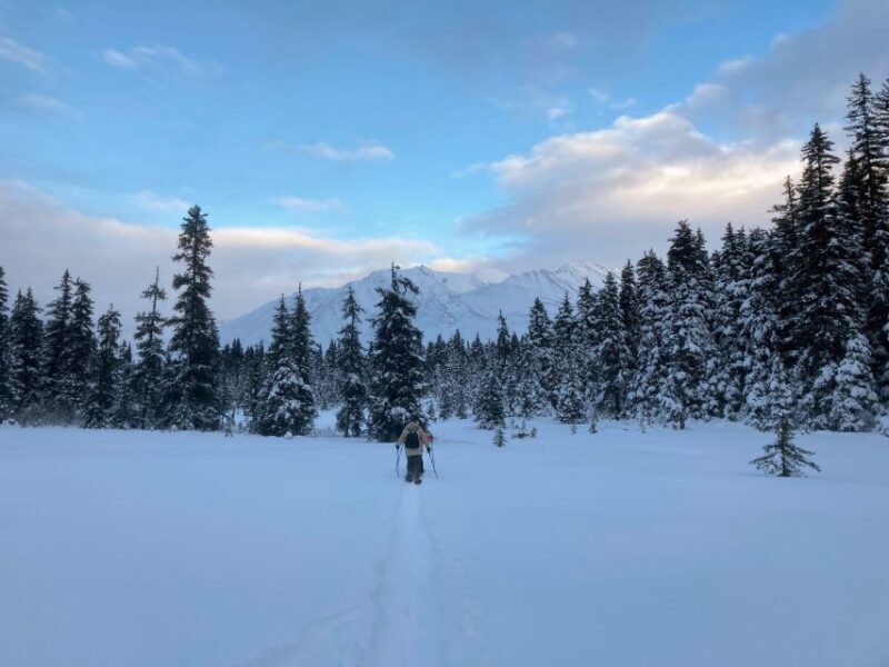 Guided Snowshoeing Adventure from Seward, Alaska - FAQ