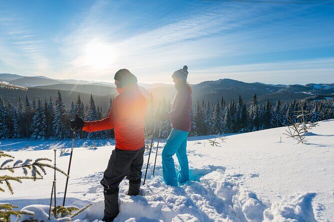 Guided Snowshoeing Adventure in the Boreal Forest - A Complete Look at the Guided Snowshoeing Adventure