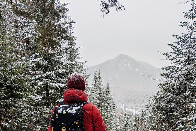 Guided Snowshoeing Adventure in the Boreal Forest - Who Should Consider This Tour?