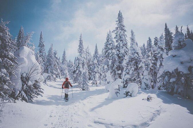 Guided Snowshoeing Adventure in the Boreal Forest - Frequently Asked Questions