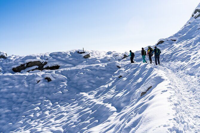Guided Snowshoeing Day to Discover the Dolomites - Discover the Dolomites on a Guided Snowshoeing Day