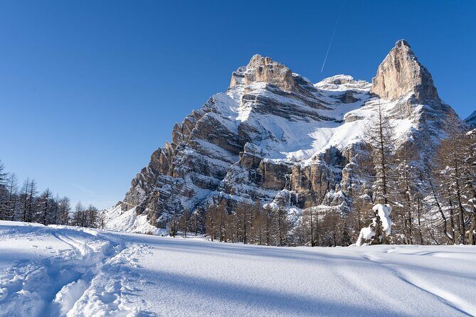 Guided Snowshoeing Day to Discover the Dolomites - The Sum Up