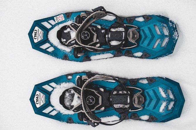 Guided Snowshoeing Tour In Pyhätunturi - Discovering the Snowy Wilderness of Pyhätunturi