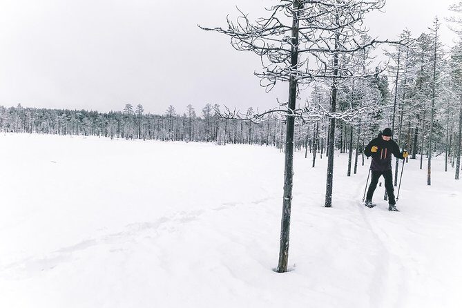 Guided Snowshoeing Tour In Pyhätunturi - The Value of This Snowshoeing Tour