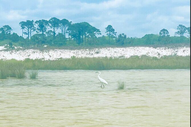 Guided Stand up Paddle Activity - What Makes This Tour a Great Value?