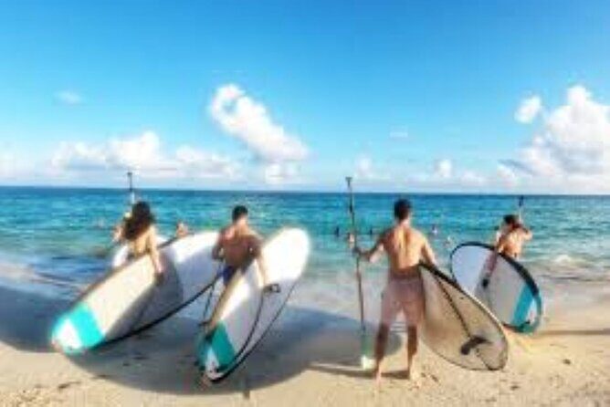 Guided Stand Up Paddleboard Tour from Margaritaville - Who Will Enjoy This Experience?