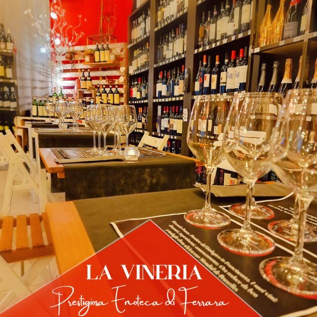 Guided tasting of local wines - Guided tasting of local wines in Emilia-Romagna, Italy