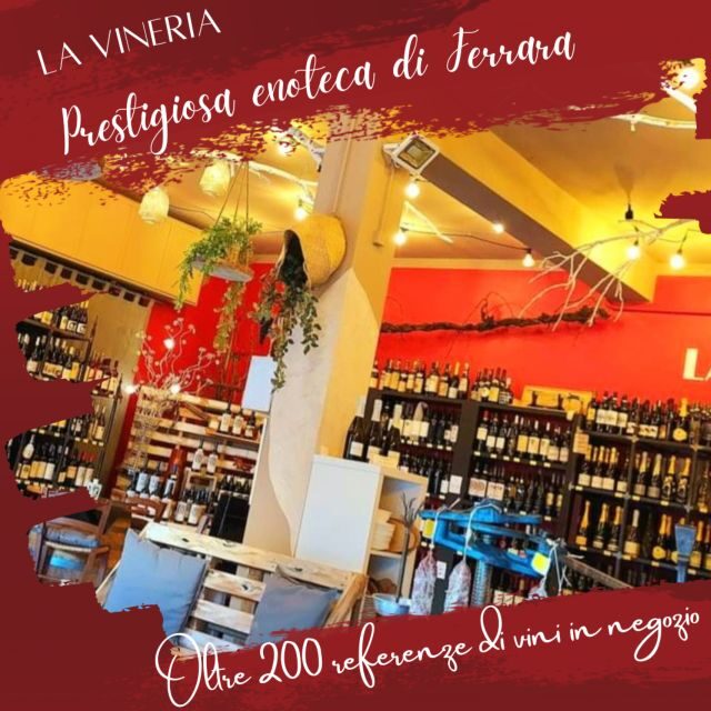 Guided tasting of local wines - What makes this experience special?