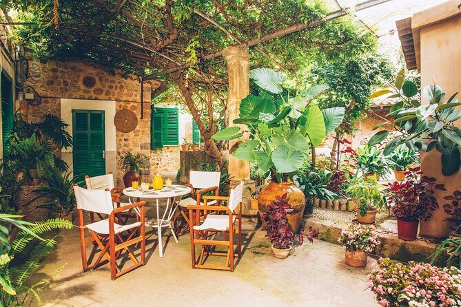 Guided Tasting Tour in 16th century House and Olive Oil Factory - The Sum Up: Who Will Love This Tour?