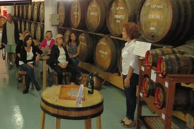 Guided Toboggan Ride and Madeira Wine Tasting Tour - An In-Depth Look at the Guided Toboggan Ride and Madeira Wine Tasting Tour