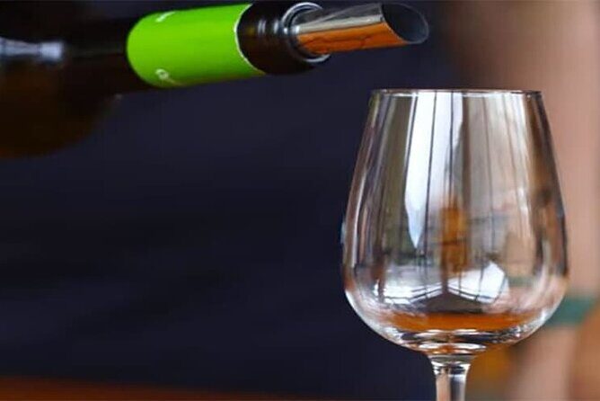 Guided Toboggan Ride and Madeira Wine Tasting Tour - Who Should Consider This Tour?